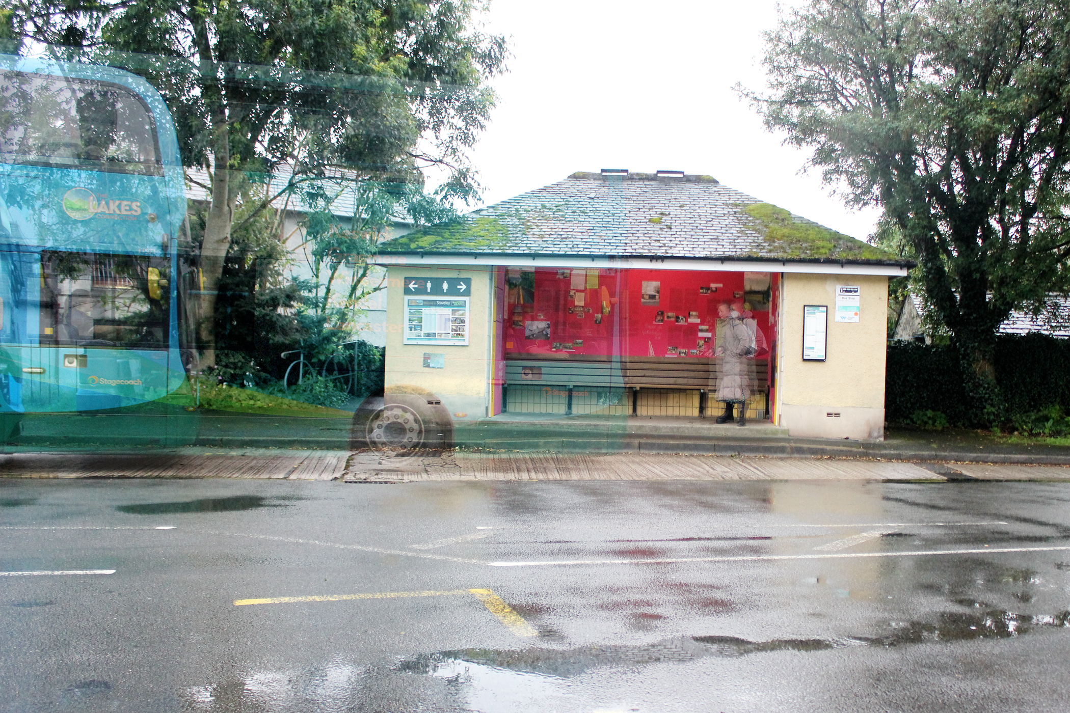 photo of bus shelter with pink exhibition inside with bus shown going past